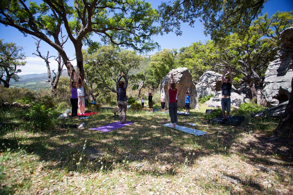 CEM-yoga-climb-4