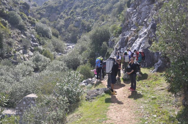 _DSC0353