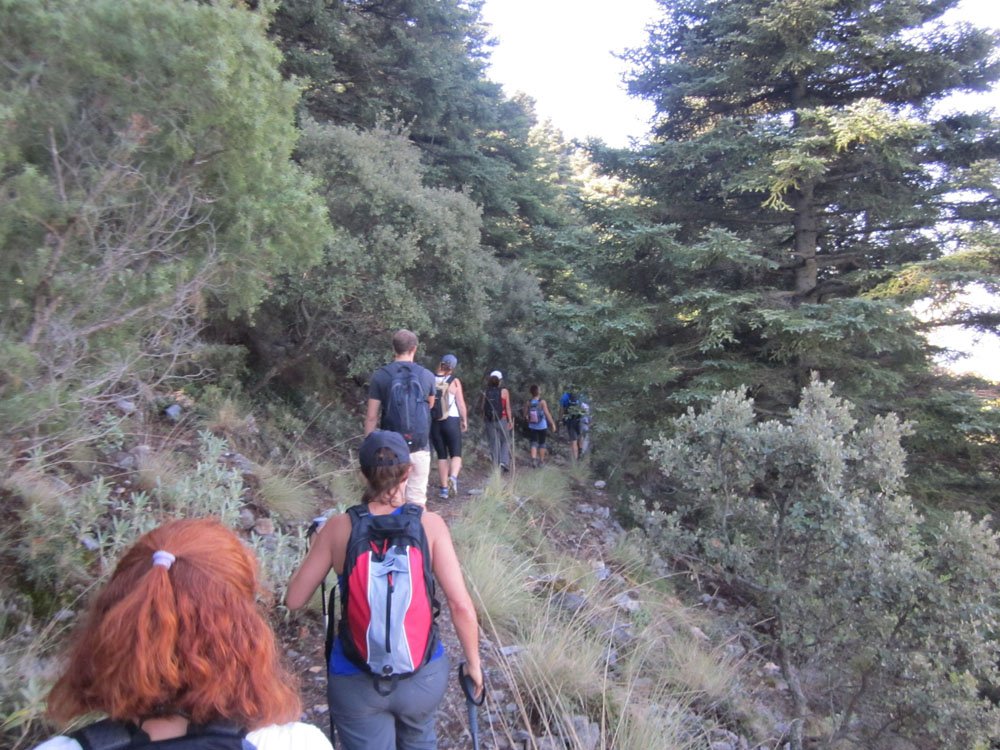 Club Escalada Marbella Subida Pico Cuchillos-Sierra Canucha 2014