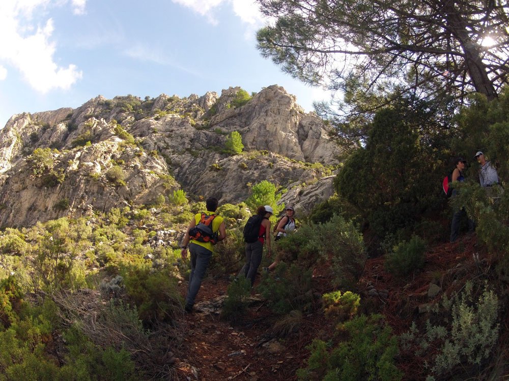 Club Escalada Marbella Subida Pico Cuchillos-Sierra Canucha 2014