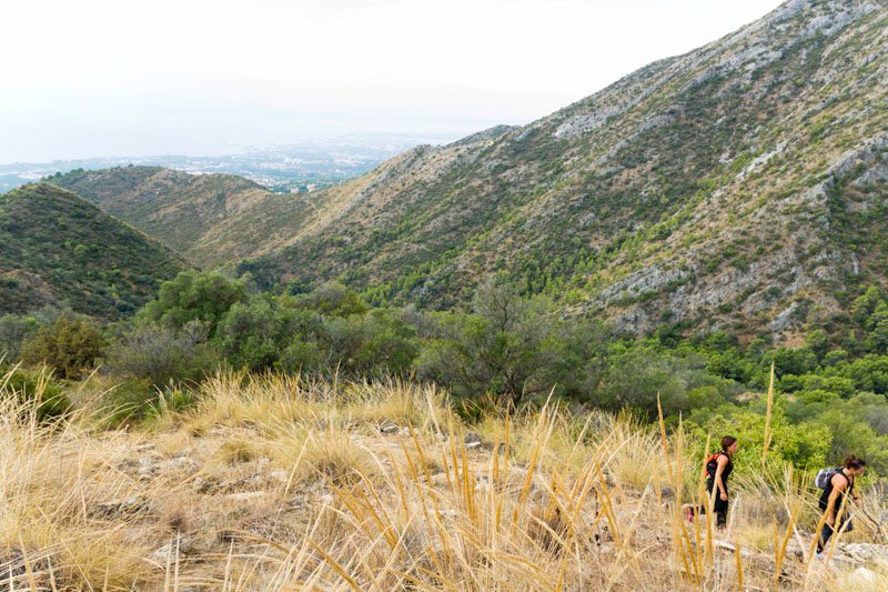 CARRERA POR LA MONTAÑA/ FALDA DE SIERRA BLANCA