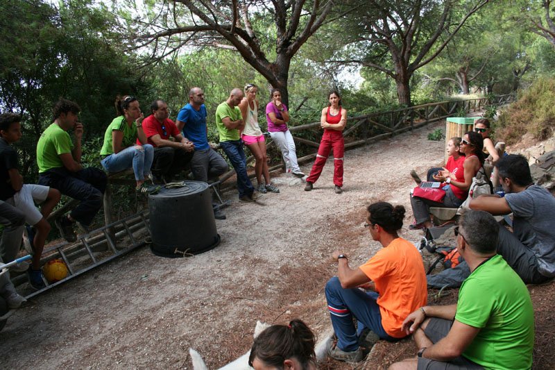 actividad-cem–limpieza-medio-ambiente-pecho-de-las-cuevas-polideportivo-paco-cantos-marbella-06