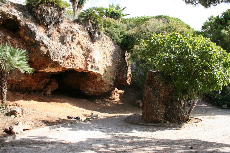 actividad-cem–limpieza-medio-ambiente-pecho-de-las-cuevas-polideportivo-paco-cantos-marbella-07