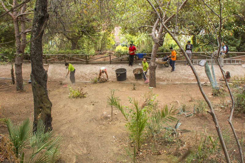 Actividad CEM – Limpieza Medio Ambiente – Pecho de las Cuevas (Polideportivo Paco Cantos, Marbella) – 10/10/2015