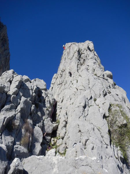 Benalauria 039