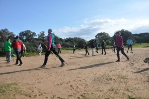 seccion-marcha-nordica-cem-1