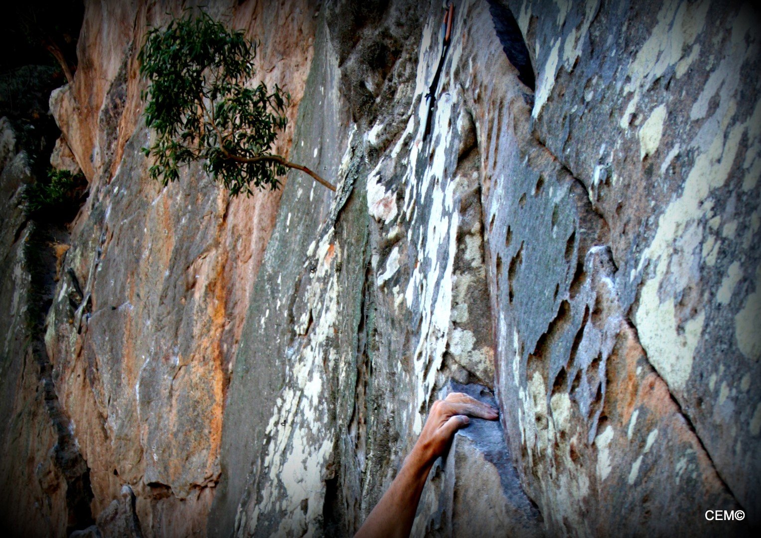 actividad-cem-escalada-deportiva-san-bartolo-tarifa-2016-14