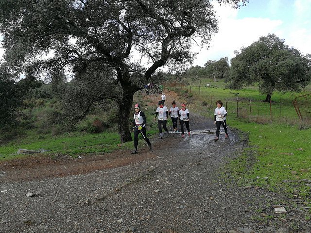 marcha-nordica-el-ronquillo-2018-07
