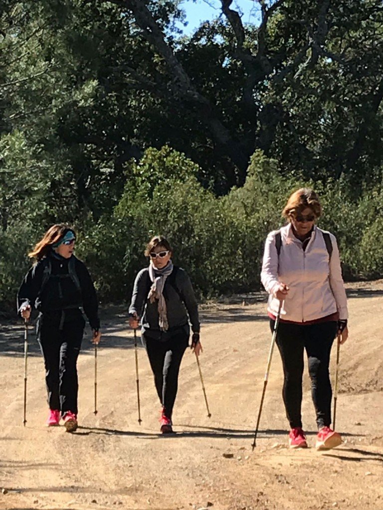 actividad-cem-salida-marcha-nordica-monda-bornoque-2018-05