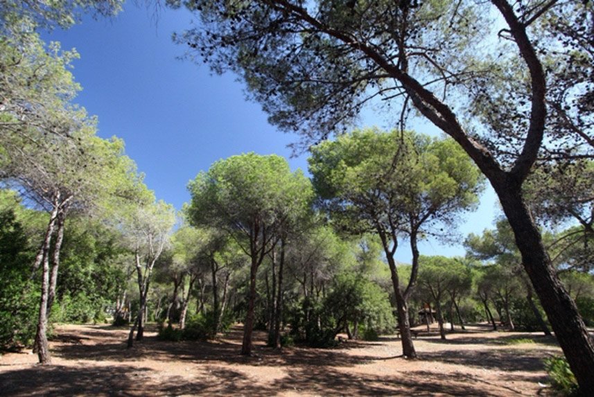 Circuito I Carrera de Marcha Nórdica ciudad de Marbella 2022