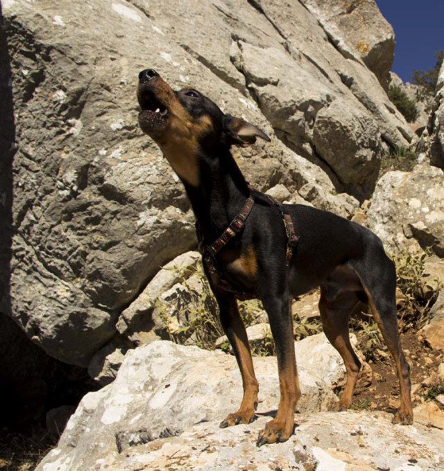 ACTIVIDAD PUERTO DEL VIENTO 22-02-14