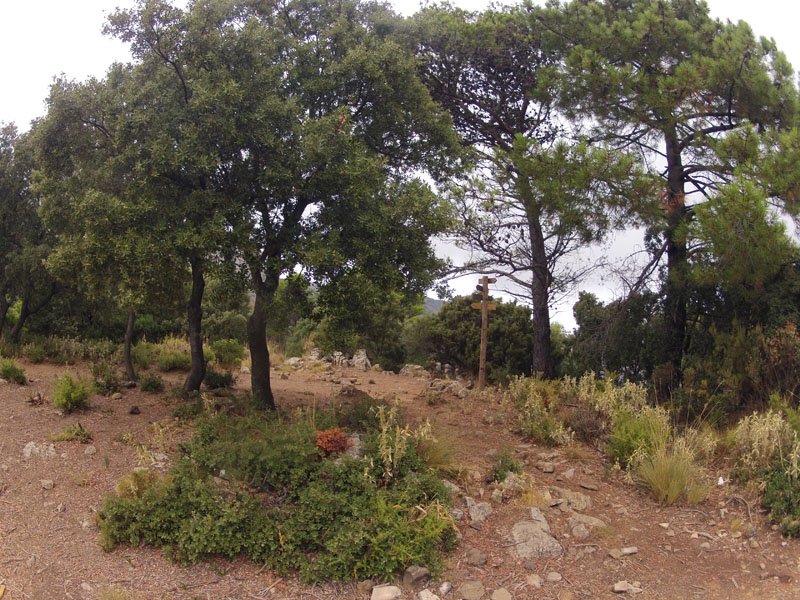 cem-ruta-senderismo-2-marbella-sierra-blanca-03-27