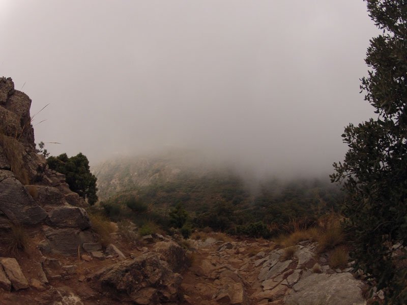 cem-ruta-senderismo-2-marbella-sierra-blanca-03-28