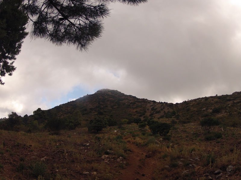 cem-ruta-senderismo-2-marbella-sierra-blanca-03-29