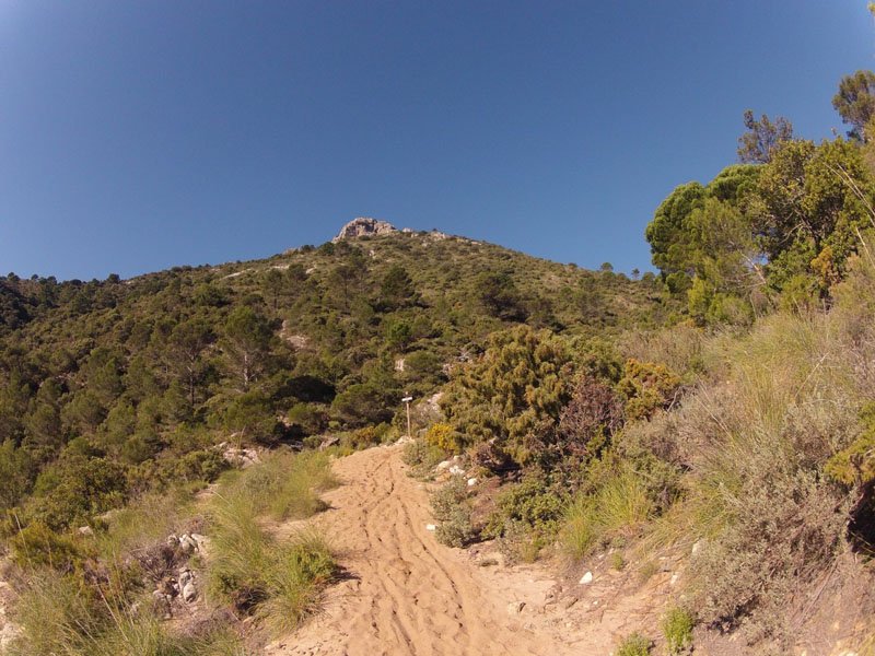 cem-ruta-senderismo-2-marbella-sierra-blanca-04