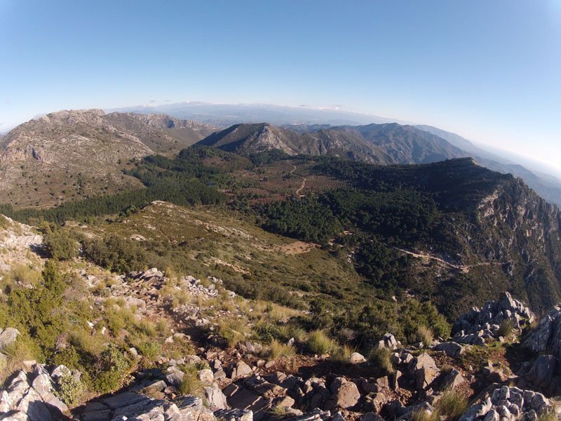 cem-ruta-senderismo-2-marbella-sierra-blanca-05