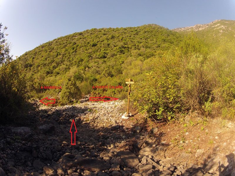 cem-ruta-senderismo-2-marbella-sierra-blanca-17