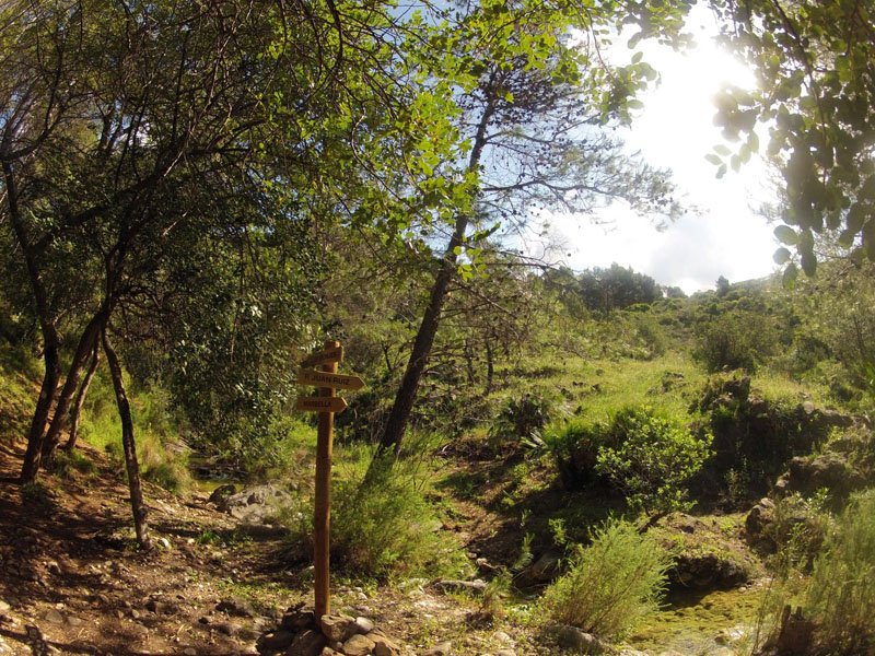 cem-ruta-senderismo-2-marbella-sierra-blanca-23