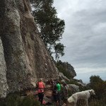 Actividad CEM – Escalada Deportiva – Cañón de la Utrera, Manilva- Málaga