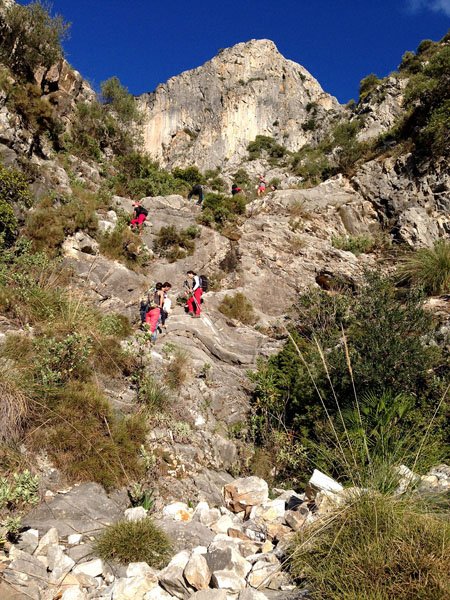 Subida a la Concha de Sierra Blanca - Málaga 1216 metros