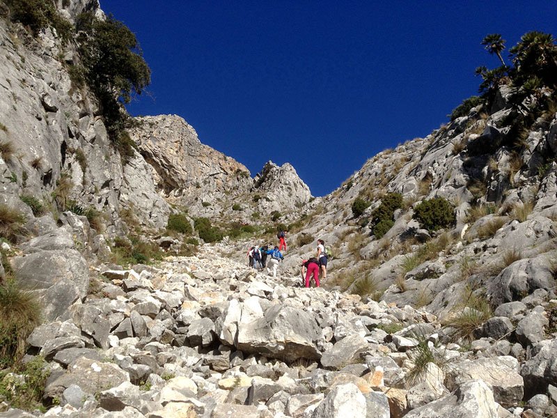 Subida a la Concha de Sierra Blanca - Málaga 1216 metros
