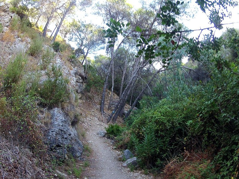 XARBLANCA-MONJES-FUENTE CALAÑA