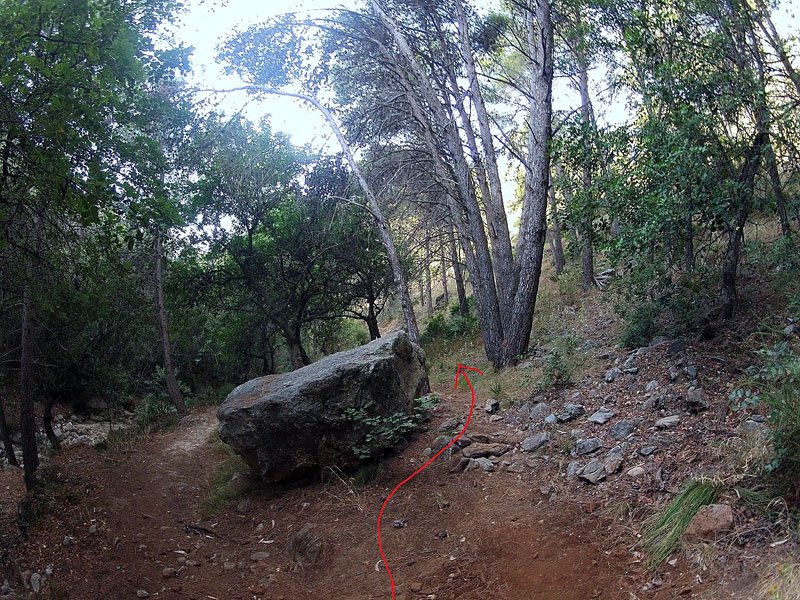 DCIM101GOPRO