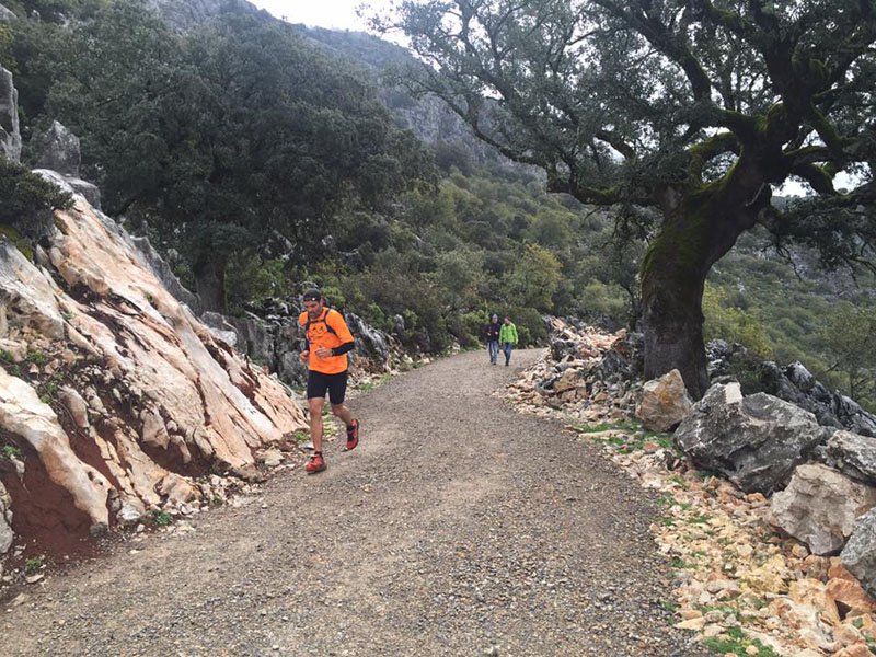 carrera-por-montana-ubrique-2016-14