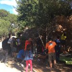 Crónica de Actividad Maratón bloques para Socios – 10/04/2016