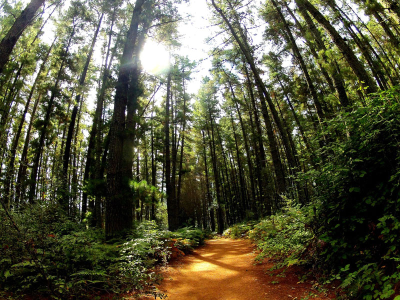 ruta-cem-refugio-juanar-concha-30