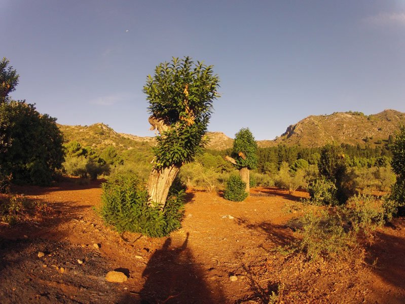 ruta-cem-refugio-juanar-concha-31