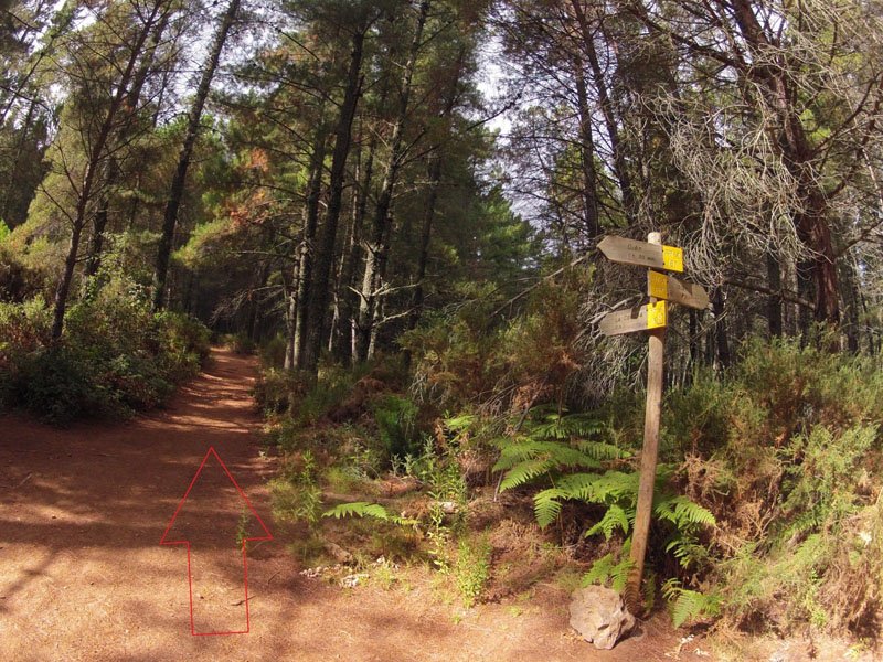 ruta-cem-refugio-juanar-concha-36