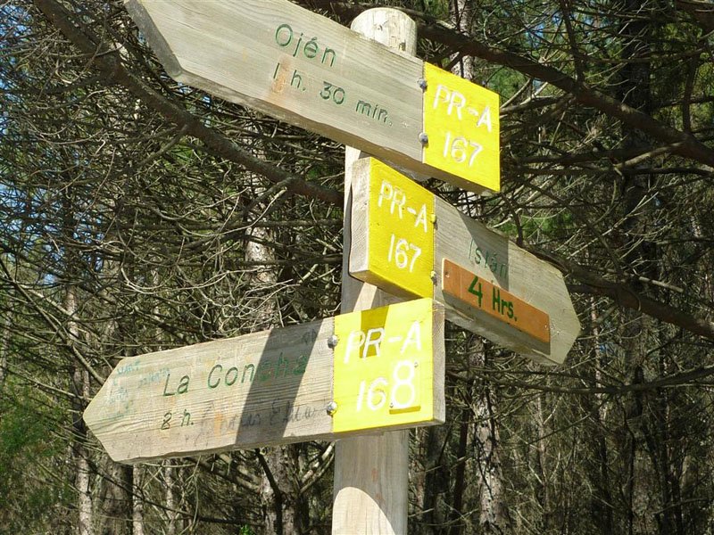 ruta-cem-refugio-juanar-concha-40