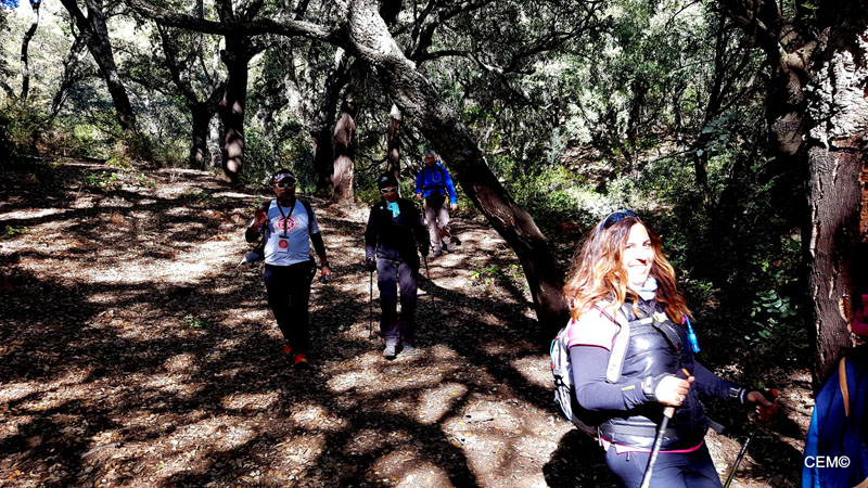 actividad-cem-ruta-senderismo-ojen-el-cerezal-sierra-blanca-2018-02