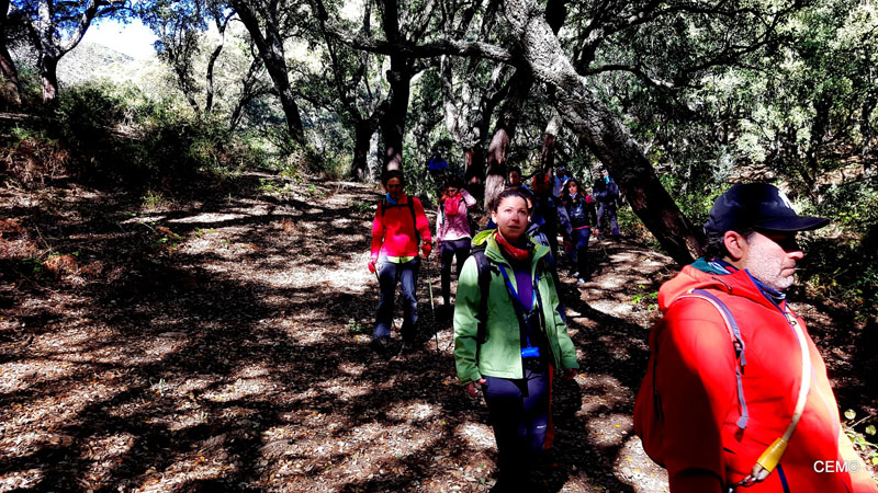 actividad-cem-ruta-senderismo-ojen-el-cerezal-sierra-blanca-2018-03