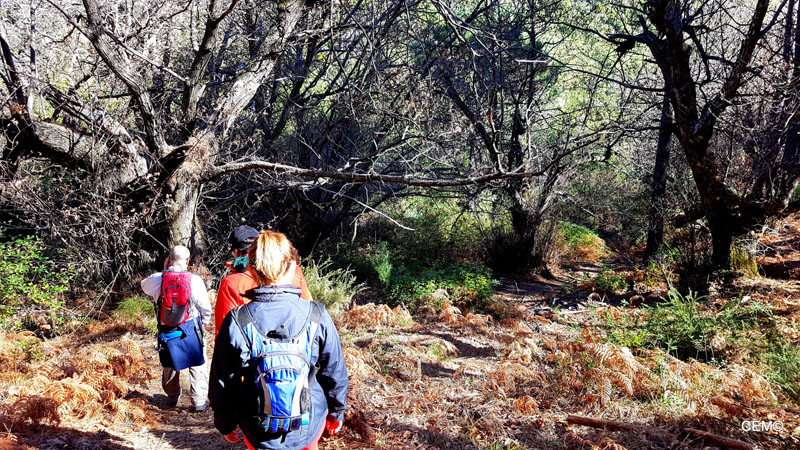 actividad-cem-ruta-senderismo-ojen-el-cerezal-sierra-blanca-2018-04