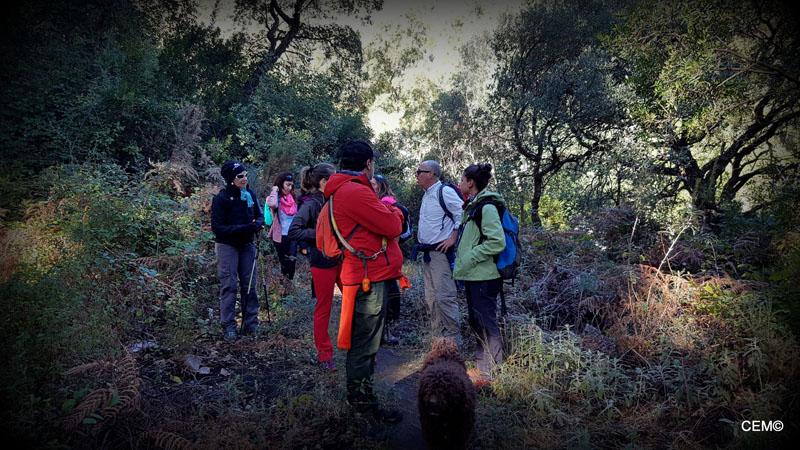 actividad-cem-ruta-senderismo-ojen-el-cerezal-sierra-blanca-2018-05