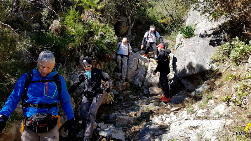 actividad-cem-ruta-senderismo-ojen-el-cerezal-sierra-blanca-2018-06