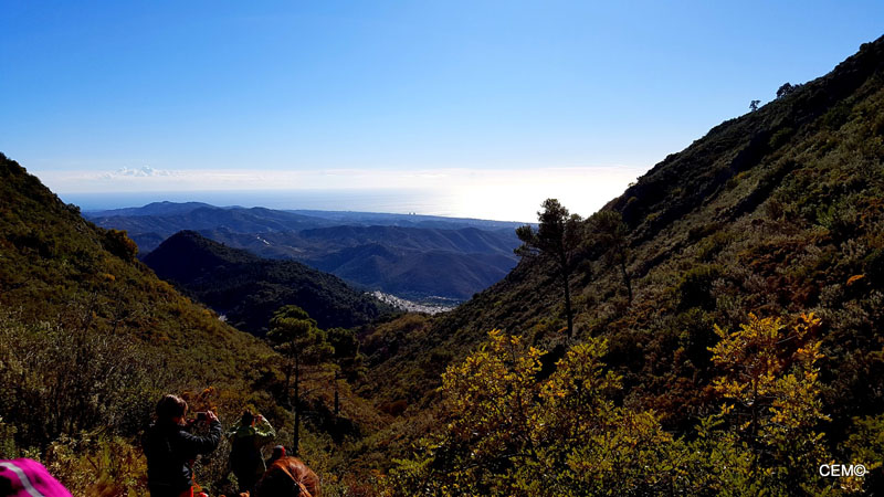 actividad-cem-ruta-senderismo-ojen-el-cerezal-sierra-blanca-2018-07