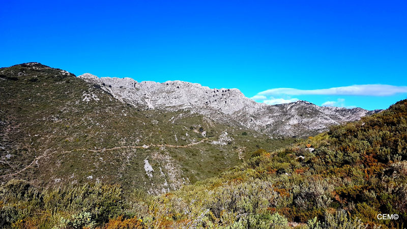 actividad-cem-ruta-senderismo-ojen-el-cerezal-sierra-blanca-2018-10