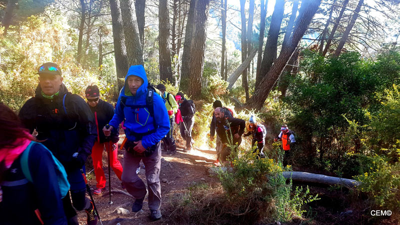 actividad-cem-ruta-senderismo-ojen-el-cerezal-sierra-blanca-2018-13