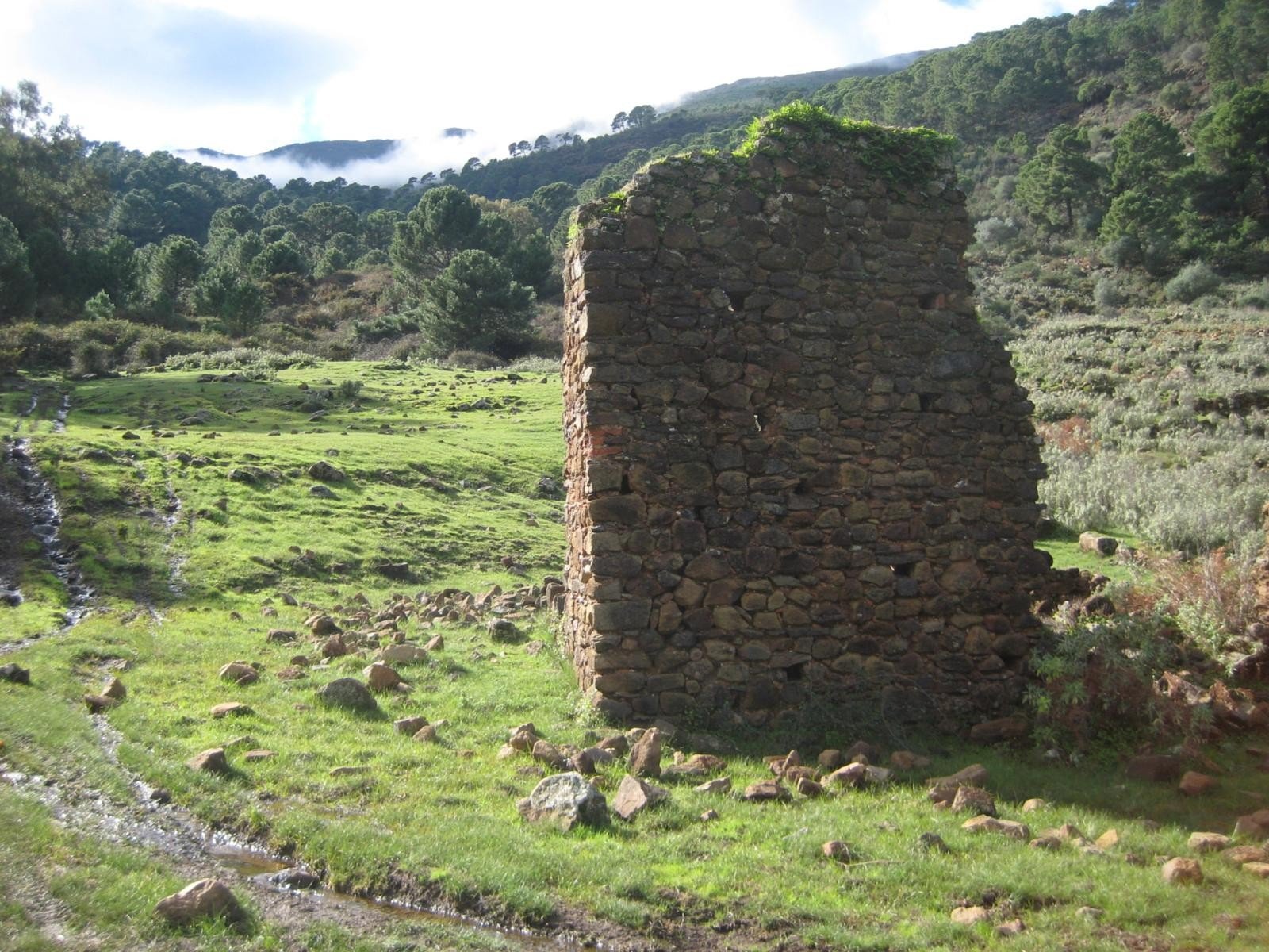 cem-daidin-dlc-180526a