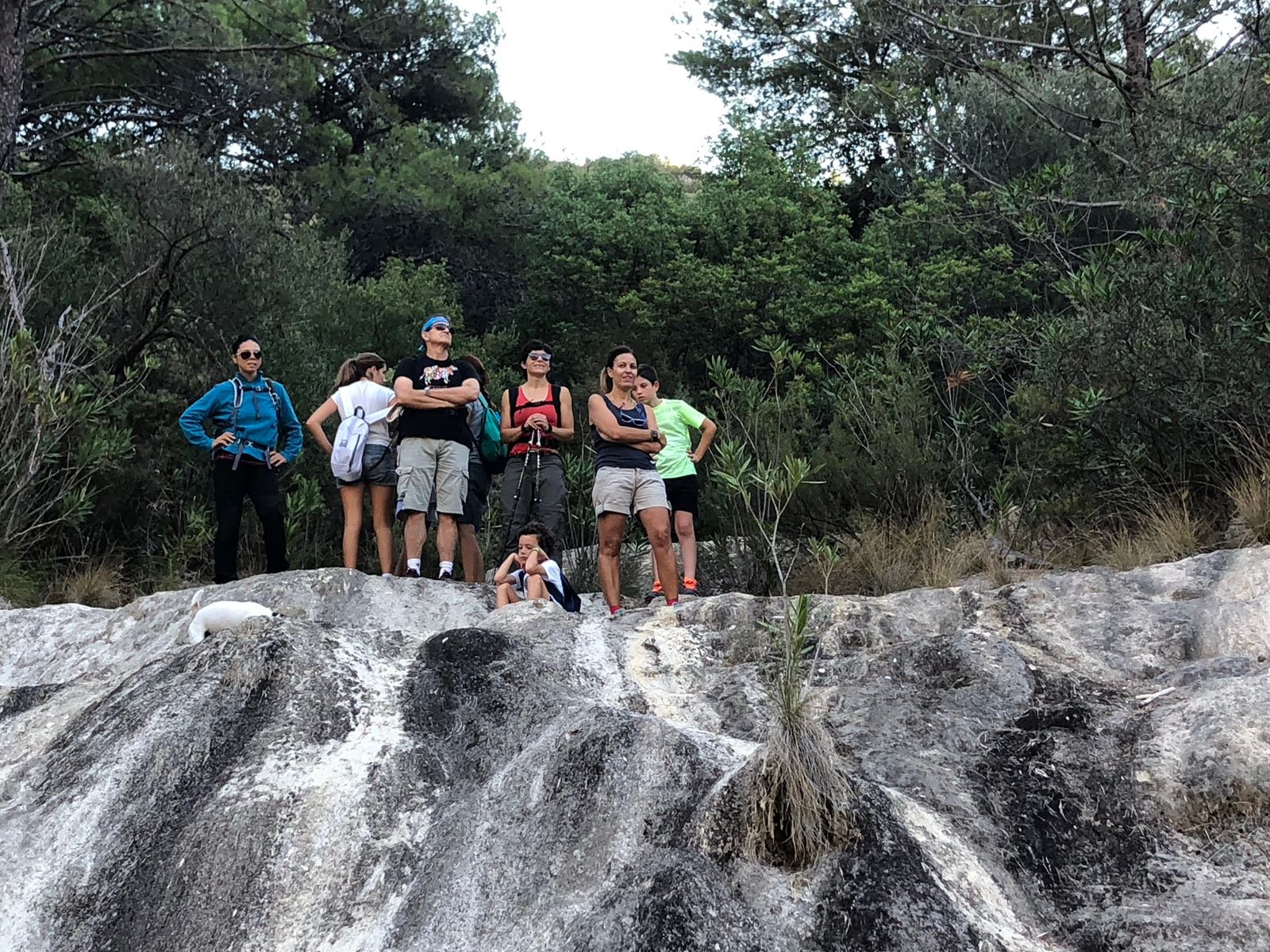 Cronica-de-la-excursion-por-el-arroyo-de-La-laja-senderismo-cem-2018-09