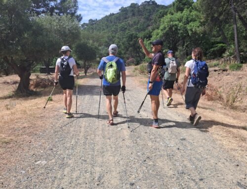 BAÑO EN LAS POZAS DEL RIO GUADAMINA ….. UN CLASICO DEL VERANO