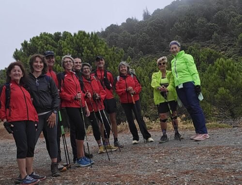 Actividad de Marcha Nordica y Senderismo, Conejeras-Puerto del Robledal