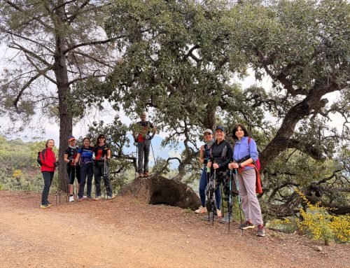 Actividad de Marcha Nórdica y Senderismo Castaño Santo